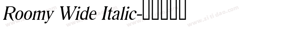 Roomy Wide Italic字体转换